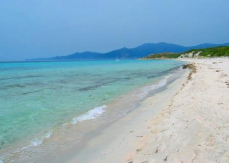 Desert agriates 41 plage de saleccia