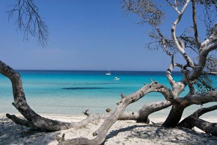 Plage de saleccia